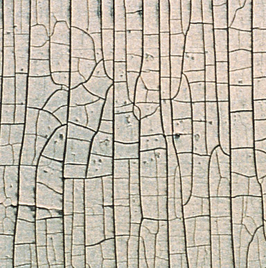 Common Paint Problems and Solutions - alligatoring